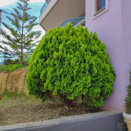 Colourful * Argostoli (Kefalonia)